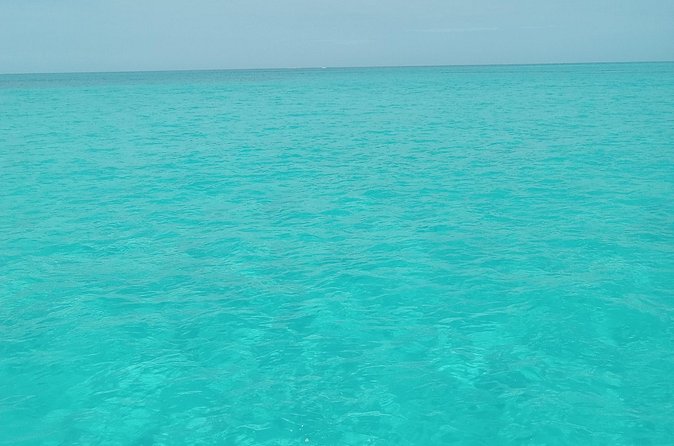Private speed boat beach and bar hopping visiting Rose island - The practical decision: who should book this tour