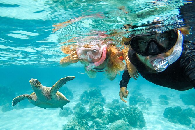 Private Speed Boat Charter in St Maarten & Nature Reserve - Pinel Island: Shallow-Water Beach Time and Lunch Options