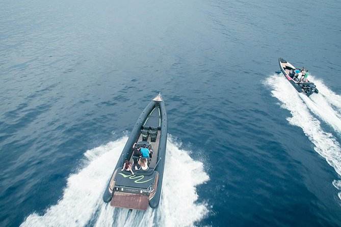 Private Speed Boat Day Cruise In Athens Riviera - The boat, the skipper, and the details that change the vibe