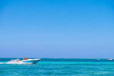 Private Speed Boat Experience with Snorkeling in Punta Cana - The Reef Stop: Colorful Fish Time Without the Hassle