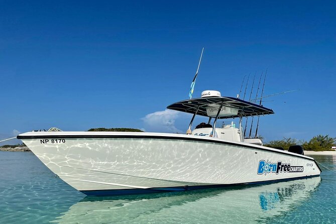 Private Speed Boat for Snorkeling or Fishing in Nassau - 34ft - Key things that make this Nassau boat charter work well