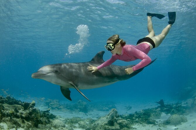 Private Speed Boat Snorkeling with Dolphins Trip - Hurghada - Key things to know before you go