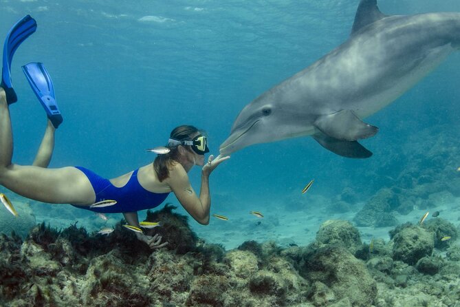 Private Speed Boat Snorkeling with Dolphins Trip - Hurghada - Dolphin House from Hurghada: why this trip is timed early