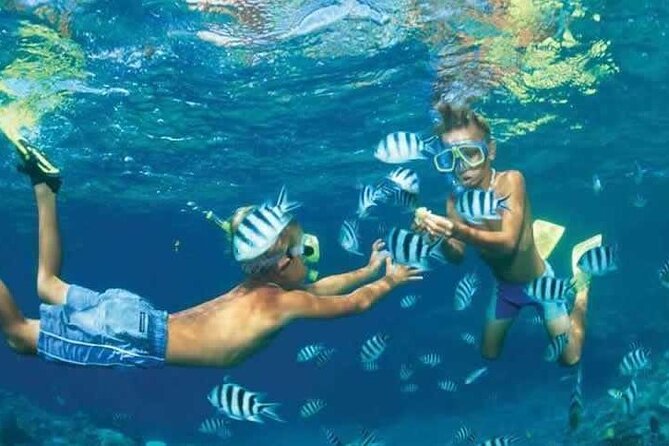 Private Speed Boat Snorkeling with Dolphins Trip - Hurghada - What to expect if conditions are rough (and how to stay flexible)