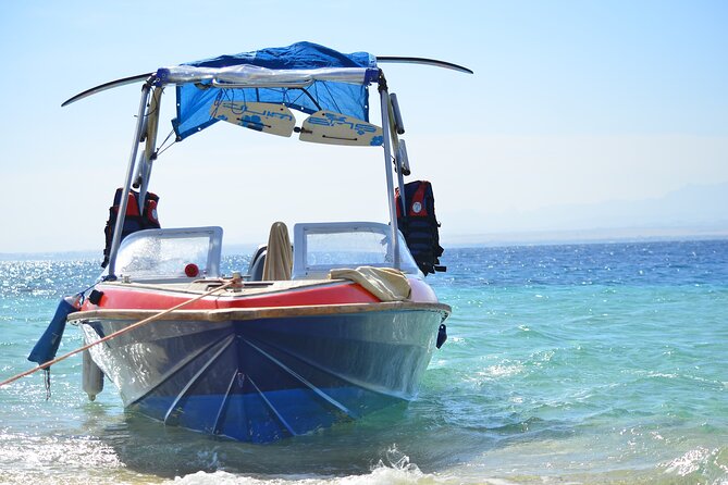 Private Speed Boat & Swim With Dolphins & Water Sports-hurghada - From Hotel Door to Open Water: The Overall Setup