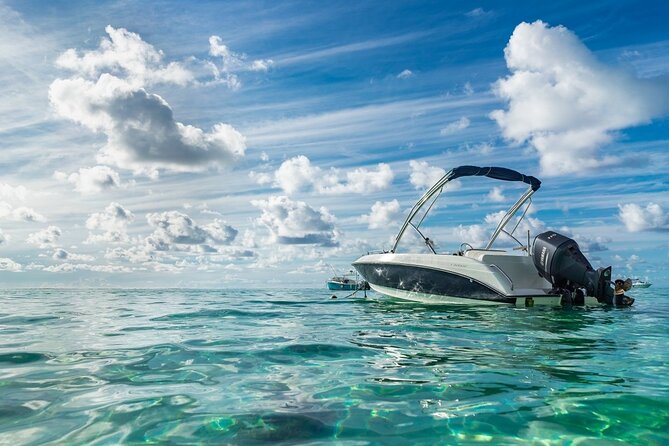 Private speed boat to Ile aux Cerfs full-day Incl: Lunch & Transfer - Ile aux Cerfs cruise and lagoon swim: what to expect in the water