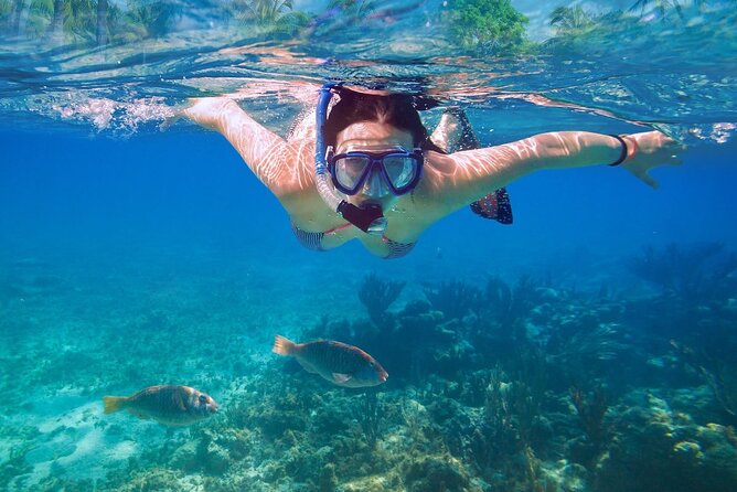 Private speed boat to Ile aux Cerfs full-day Incl: Lunch & Transfer - Beach time on Ile aux Cerfs: 4 hours goes fast
