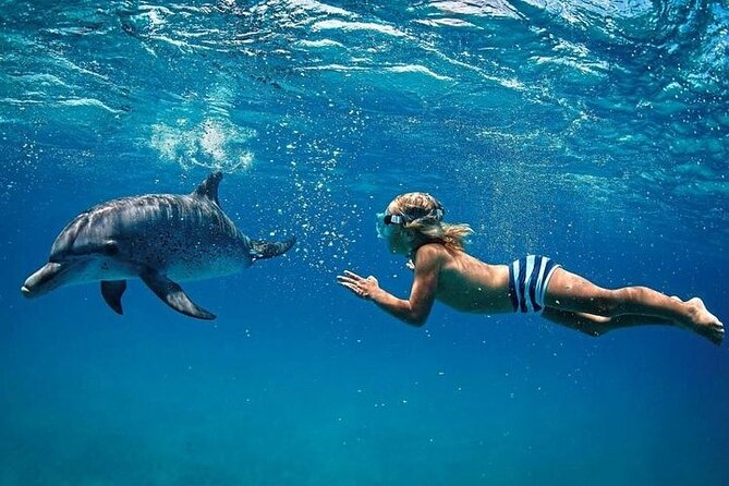 Private Speed Boat Tour and Dolphin Encounter at Ile aux Benitier - Crystal Rock snorkeling: the Le Morne view plus that “wow” rock