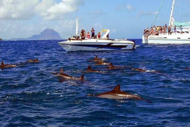 Private Speed Boat Tour and Dolphin Encounter at Ile aux Benitier - Price and value: what you’re paying for beyond the dolphin label