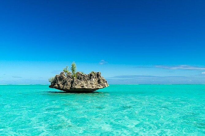 Private Speed Boat Tour and Dolphin Encounter at Ile aux Benitier - Who should book this and who should skip it