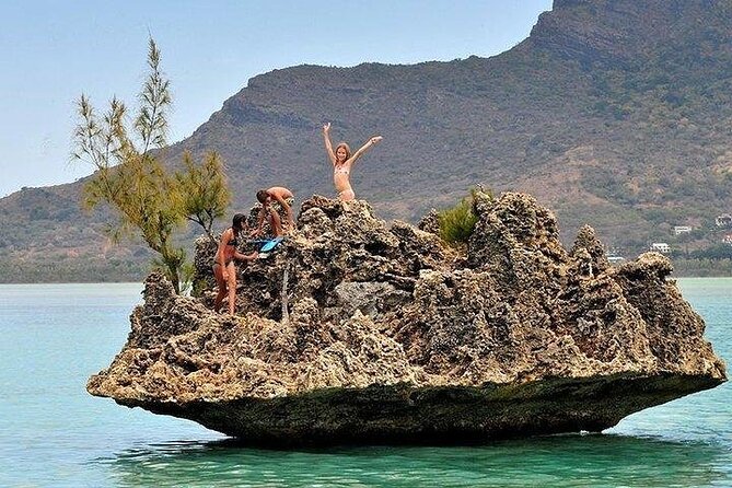 Private Speed Boat Tour and Dolphin Encounter at Ile aux Benitier - FAQ