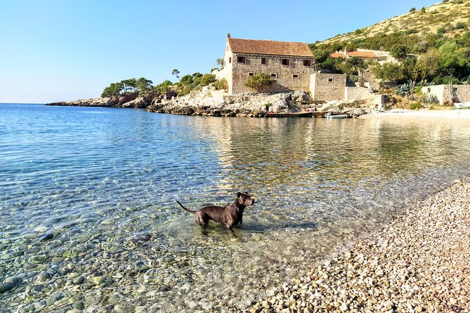 Private Speed Boat Tour of Hvar South Shore & Pakleni islands - Stop 5: Palmizana Botanical Garden on Pakleni islands