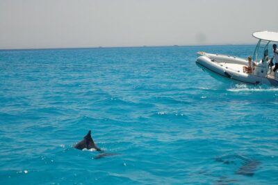 Private Speed Boat Trip In Hurghada - What’s included on board (so you don’t have to scramble)