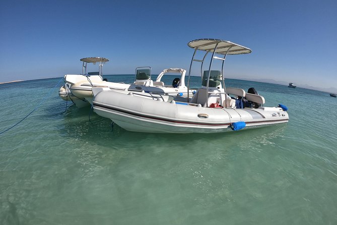 Private Speed Boat Trip In Hurghada - Dolphin spotting timing: morning departures that fit the goal