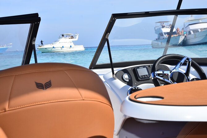 Private Speedboat Dolphins and Snorkelling Cruise in Hurghada - Key things to know before you go