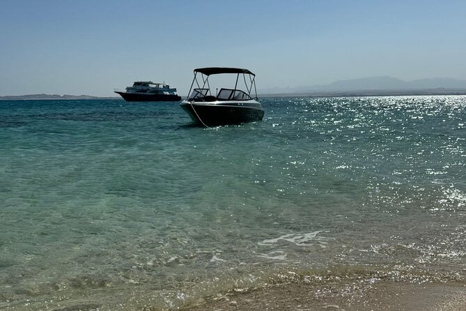 Private Speedboat Dolphins and Snorkelling Cruise in Hurghada - Abu Minqar Island and the shipwreck: finishing with a different kind of wow