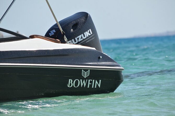 Private Speedboat Dolphins and Snorkelling Cruise in Hurghada - Weather and timing: how to plan this like a pro