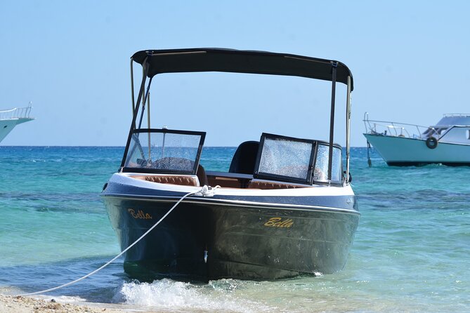 Private Speedboat Dolphins and Snorkelling Cruise in Hurghada - The Dolphin House reef search: dolphins, coral life, and other surprises
