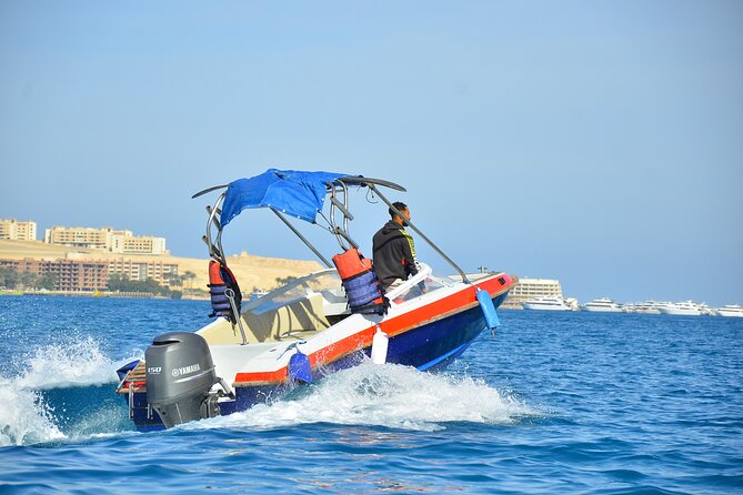 Private Speedboat Excursion Dolphin House Discovery - Hurghada - 6 key things that make this Dolphin House speedboat special