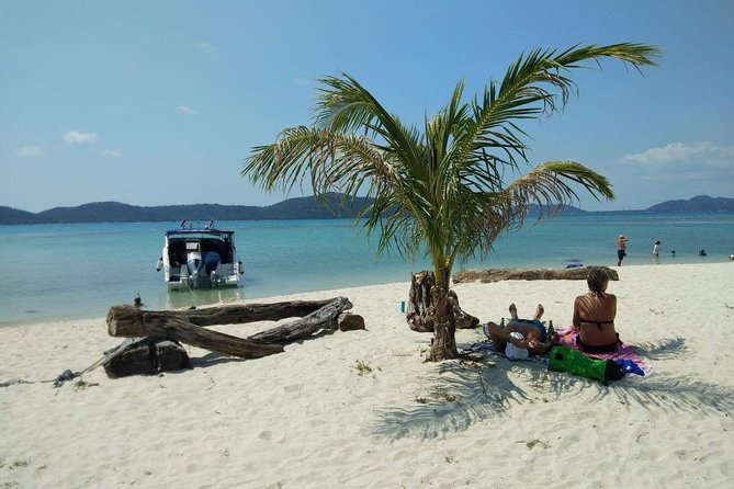 Private Speedboat Koh Tan & Pig Island Snorkeling from Samui - The Private Speedboat Effect: Fewer Delays, More Control