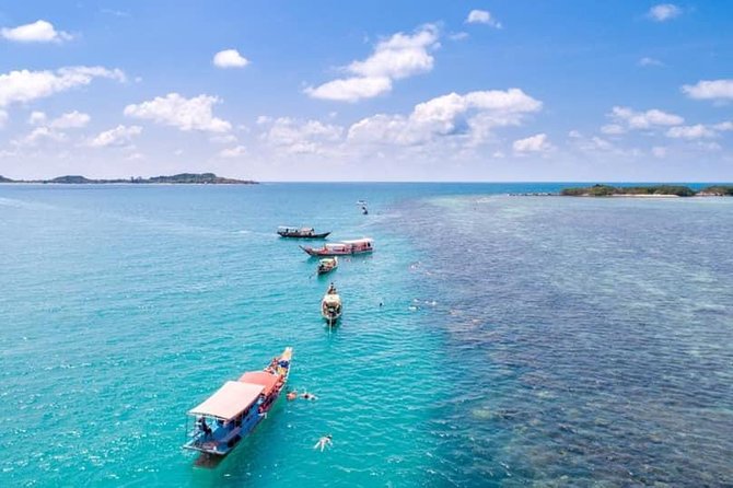 Private Speedboat Koh Tan & Pig Island Snorkeling from Samui - Pig Island Snorkeling: Plan for the Small Fee