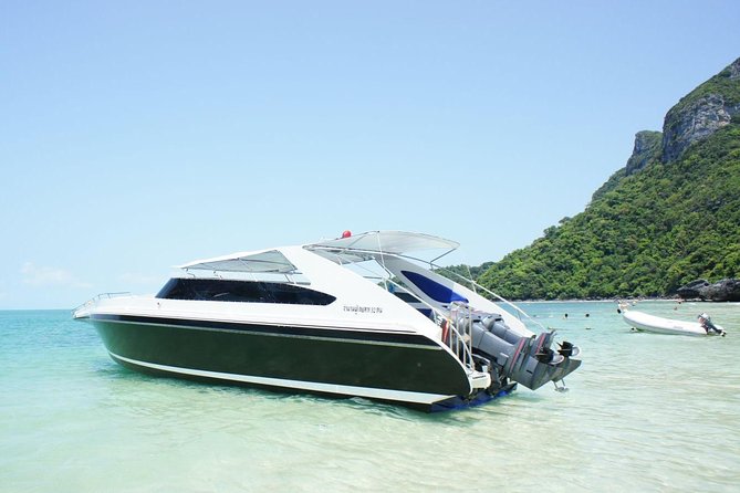 Private Speedboat Koh Tan & Pig Island Snorkeling from Samui - Price and Value: What $423.76 Buys (Up to 5 People)