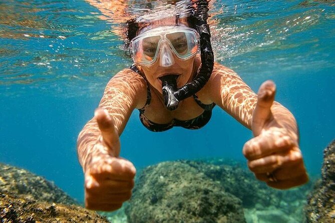 Private Speedboat to Abu Munkar Island and Snorkeling - Hurghada - Who this private Abu Munkar trip suits best