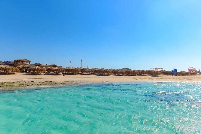 Private Speedboat To Dolphin House & Magawish Island _ Hurghada - Dolphins watching odds: how to set expectations without getting bummed