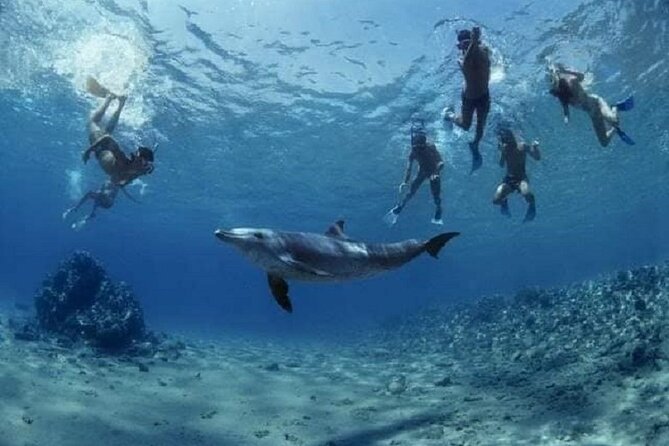 Private Speedboat To Dolphin House With Parasailing - Hurghada - Onboard Snacks, Soft Drinks, and the Comfort Factor