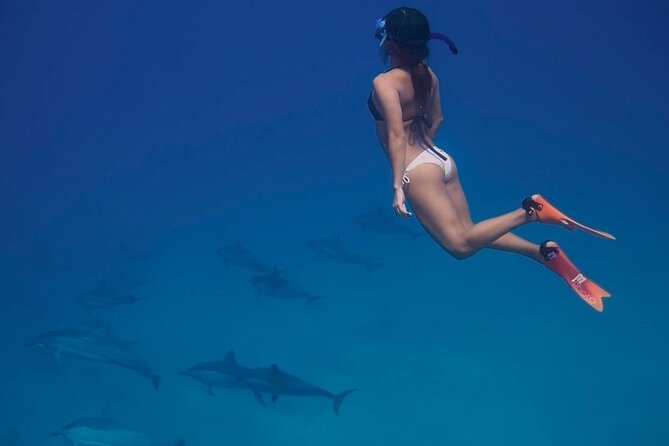 Private Speedboat To Dolphin House With Parasailing - Hurghada - How to Get the Most Out of the Day