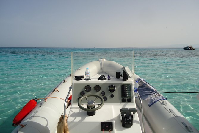 Private Speedboat Tour From Hurghada - Dolphin spotting windows: how to match expectations to reality