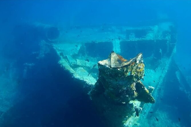 Private Speedboat tour "Hidden Gems of Dugi otok" - Private speedboat energy: captains who set the tone