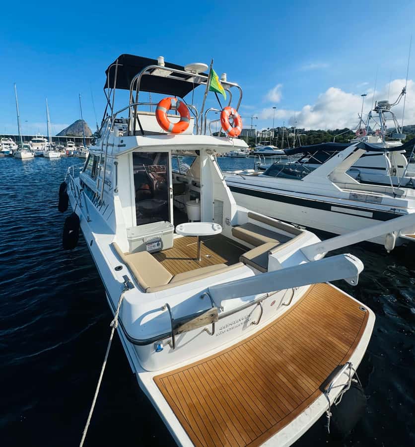 Private speedboat tour in Rio de Janeiro - Key things to know before you go