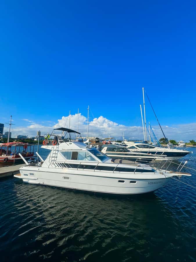 Private speedboat tour in Rio de Janeiro - Why a private speedboat works so well for Rio