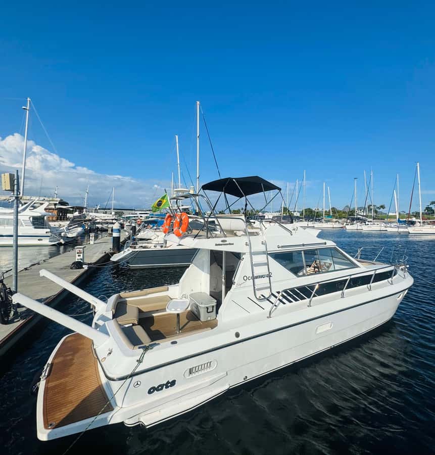 Private speedboat tour in Rio de Janeiro - Meeting at Marina da Glória: simple start, no hotel pickup