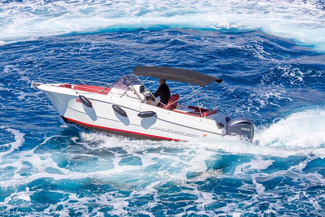 Private Speedboat Tour to Elafiti Islands - Private Elafiti Speedboat: Why this format is so good