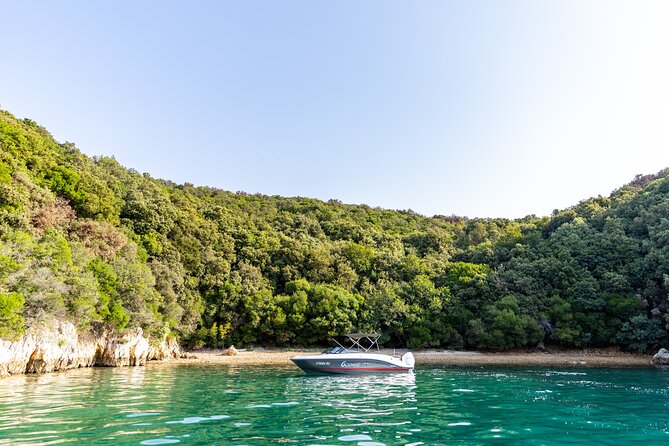 Private Speedboat Tour to Lim Fjord and Red Island - Finding the Right Pier Moment: Pickup That Actually Works
