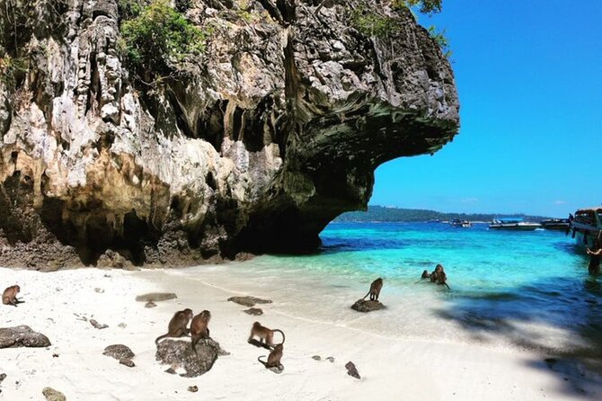 Private Speedboat Tour to Phi Phi Islands From Krabi - Maya Bay from Loh Samah Bay: the classic stop, timed tightly