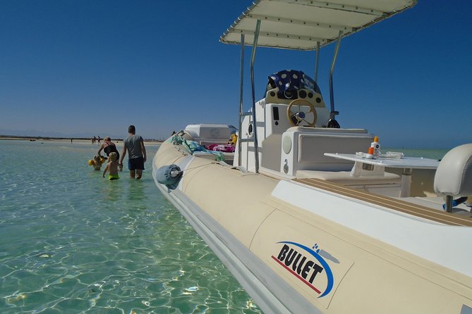 Private Speedboat Trip In Hurghada - Service quality: friendly, attentive, and professional on the water