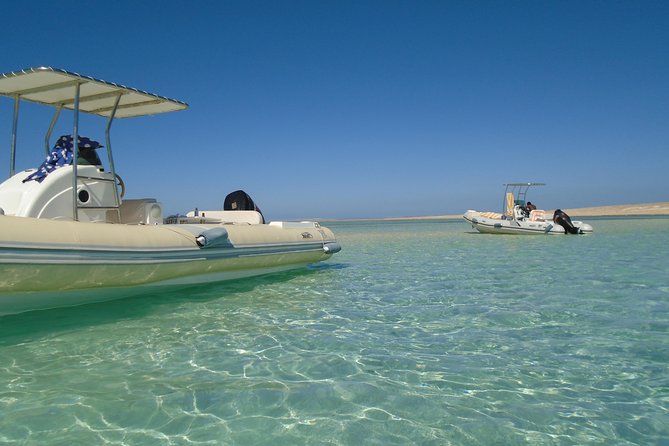 Private Speedboat Trip In Hurghada - Price and value: what $42 gets you