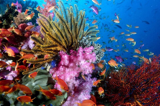 Private SpeedBoat Trip To 3 Islands In PQ With Cable Car (Option) - Onboard extras: snorkeling and fishing gear, plus drinks