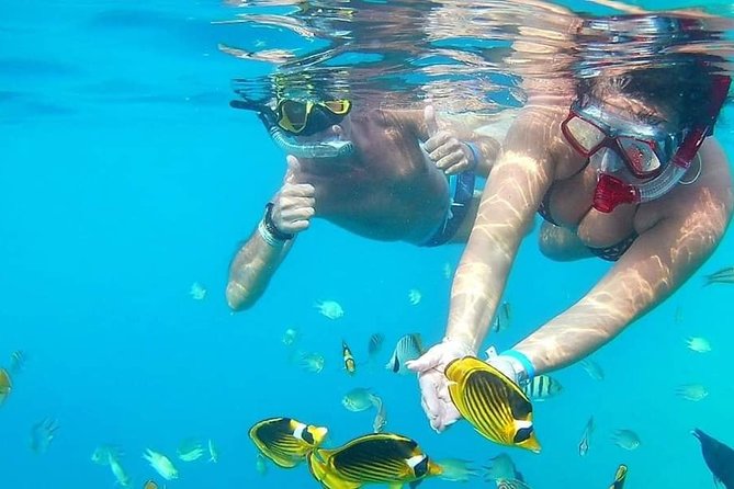 PRIVATE TOUR ! 4-Hours Swiming with dolphins, snorkeling, island by speed boat - Shipwreck Snorkel: The Extra Wow Factor (Without the Stress)