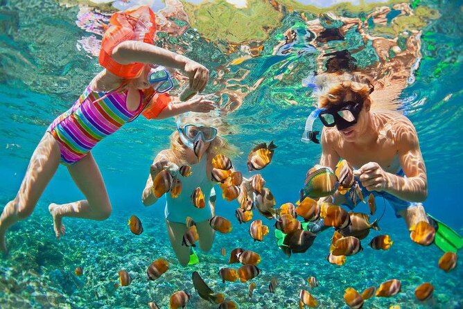 PRIVATE TOUR ! 4-Hours Swiming with dolphins, snorkeling, island by speed boat - Abu Minqar Island Stop and the Hurghada Return View