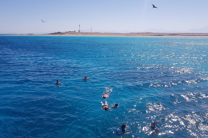 PRIVATE TOUR ! 4-Hours Swiming with dolphins, snorkeling, island by speed boat - Equipment, Life Jackets, and On-Board Comfort That Actually Help
