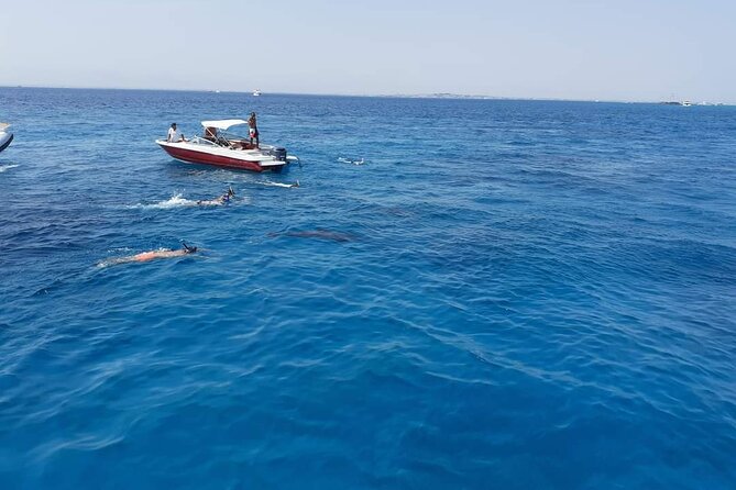 PRIVATE TOUR ! 4-Hours Swiming with dolphins, snorkeling, island by speed boat - Price and Value: What $160.80 Per Person Buys You