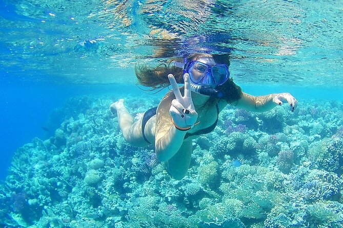 PRIVATE TOUR ! 4-Hours Swiming with dolphins, snorkeling, island by speed boat - Who This Tour Fits Best (And Who Might Want a Different Day)