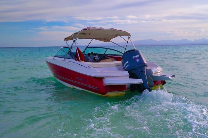 PRIVATE TOUR ! 4-Hours Swiming with dolphins, snorkeling, island by speed boat - Al Fanadiir Reef Snorkeling: Where the Fish Show Up