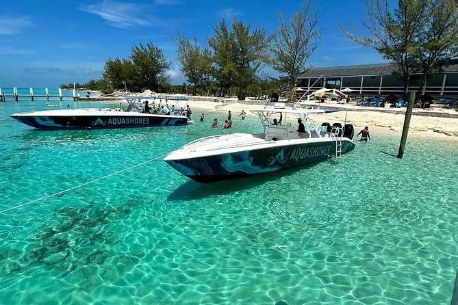 Private Tour 45ft Powerboat to Nearby Islands - Stop 5: Pig Island on Rose Island and the Real 30-Minute Window