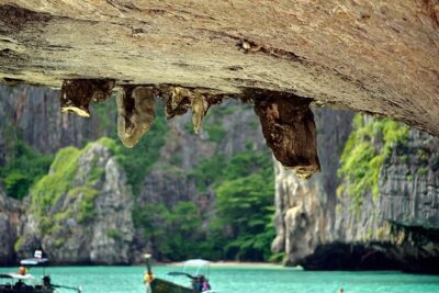 Private Tour Phi Phi Early Bird Premium Tour by Speed Boat - Private speed-boat logistics: pickup, pacing, and what to expect