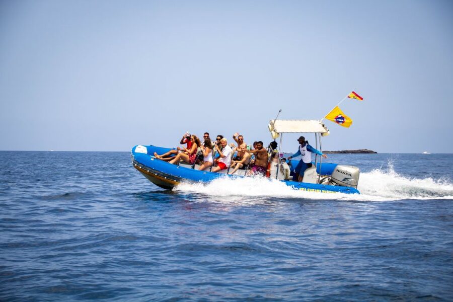 Puerto Colon: Dolphin and Whale Watching Speedboat Cruise - Included Food, Drinks, and Snorkel Gear: Small Things That Make a Day Like This Work